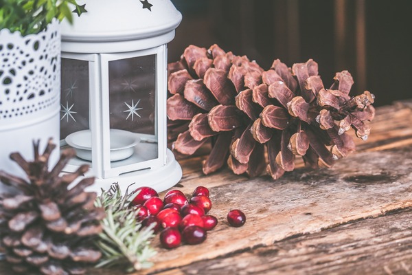 seasonal holiday display featuring pinecones, cranberries and lantern on distressed wood table